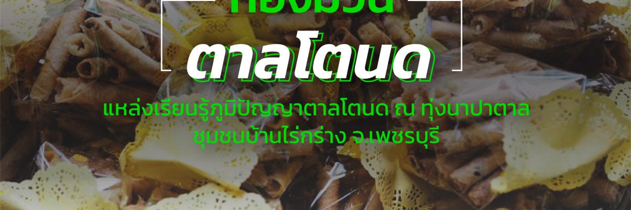 ทองม้วน ตาลโตนด แหล่งเรียนรู้ภูมิปัญญาตาลโตนด ณ ทุ่งนาปาตาล