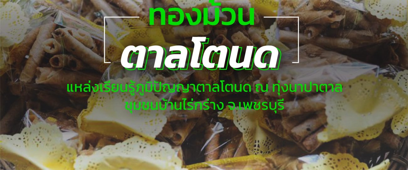 ทองม้วน ตาลโตนด แหล่งเรียนรู้ภูมิปัญญาตาลโตนด ณ ทุ่งนาปาตาล
