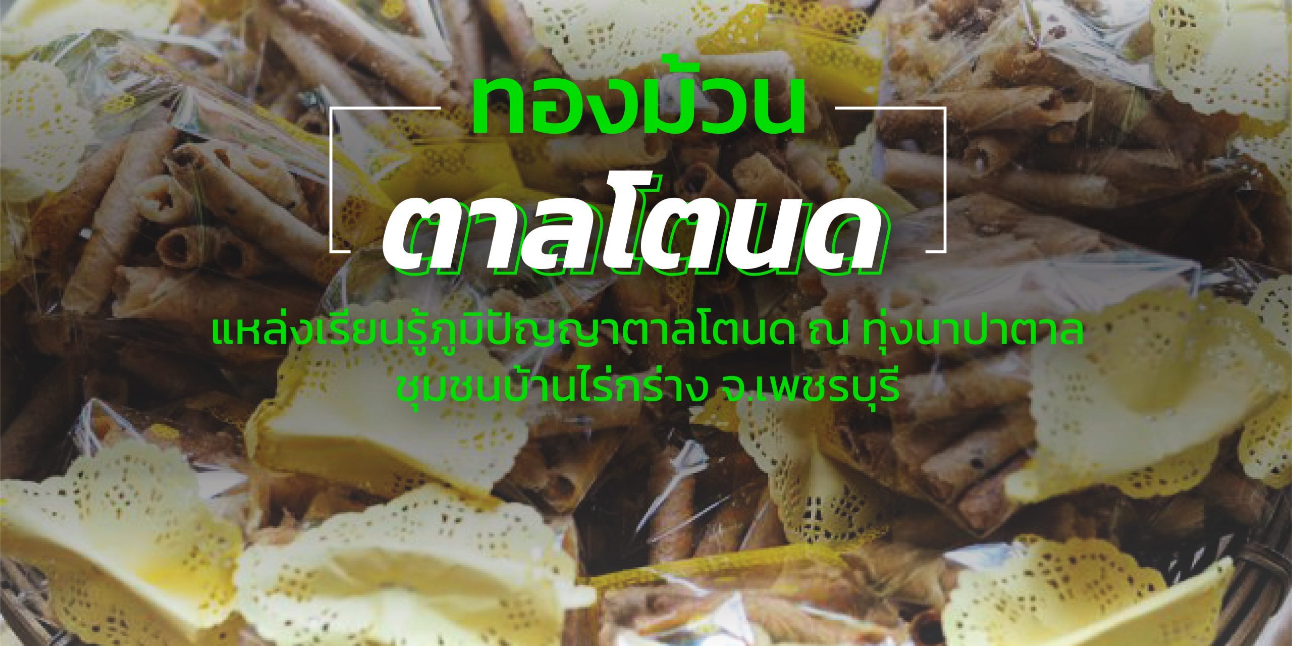 ทองม้วน ตาลโตนด แหล่งเรียนรู้ภูมิปัญญาตาลโตนด ณ ทุ่งนาปาตาล
