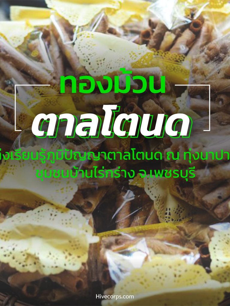 ทองม้วน ตาลโตนด แหล่งเรียนรู้ภูมิปัญญาตาลโตนด ณ ทุ่งนาปาตาล ทองม้วน ตาลโตนด แหล่งเรียนรู้ภูมิปัญญาตาลโตนด ณ ทุ่งนาปาตาล