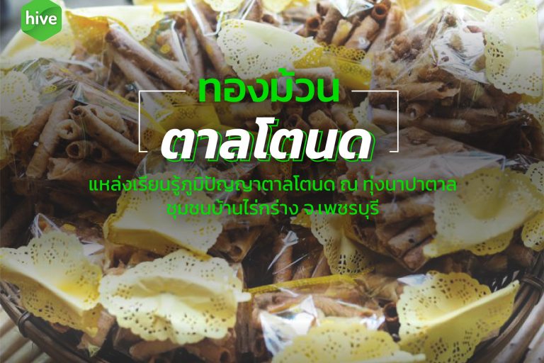 ทองม้วน ตาลโตนด แหล่งเรียนรู้ภูมิปัญญาตาลโตนด ณ ทุ่งนาปาตาล 