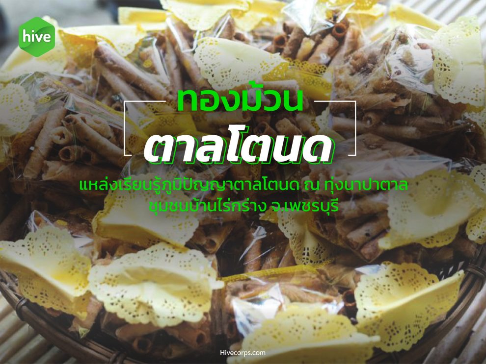 ทองม้วน ตาลโตนด แหล่งเรียนรู้ภูมิปัญญาตาลโตนด ณ ทุ่งนาปาตาล ทองม้วน ตาลโตนด แหล่งเรียนรู้ภูมิปัญญาตาลโตนด ณ ทุ่งนาปาตาล