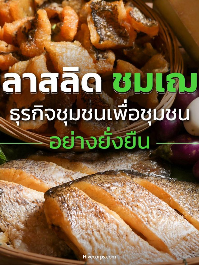 “ปลาสลิดชมเฌย” ธุรกิจชุมชนเพื่อชุมชนอย่างยั่งยืน “ปลาสลิดชมเฌย” ธุรกิจชุมชนเพื่อชุมชนอย่างยั่งยืน