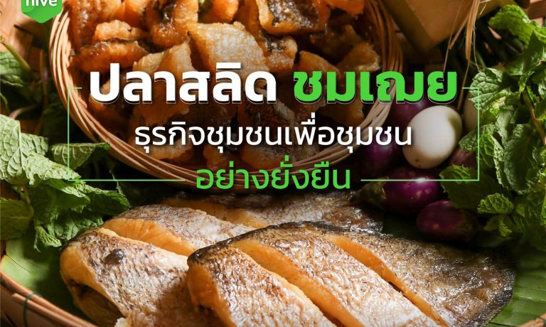 “ปลาสลิดชมเฌย” ธุรกิจชุมชนเพื่อชุมชนอย่างยั่งยืน