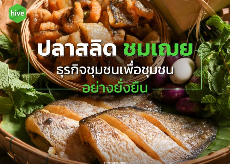 “ปลาสลิดชมเฌย” ธุรกิจชุมชนเพื่อชุมชนอย่างยั่งยืน