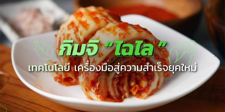 กิมจิ “ไฉไล” เทคโนโลยี ความสำเร็จของคนรุ่นใหม่ กิมจิ "ไฉไล" เทคโนโลยี ความสำเร็จของคนรุ่นใหม่