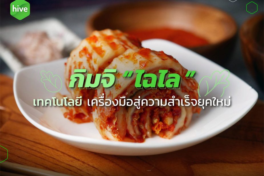 กิมจิ “ไฉไล” เทคโนโลยี ความสำเร็จของคนรุ่นใหม่ กิมจิ "ไฉไล" เทคโนโลยี ความสำเร็จของคนรุ่นใหม่