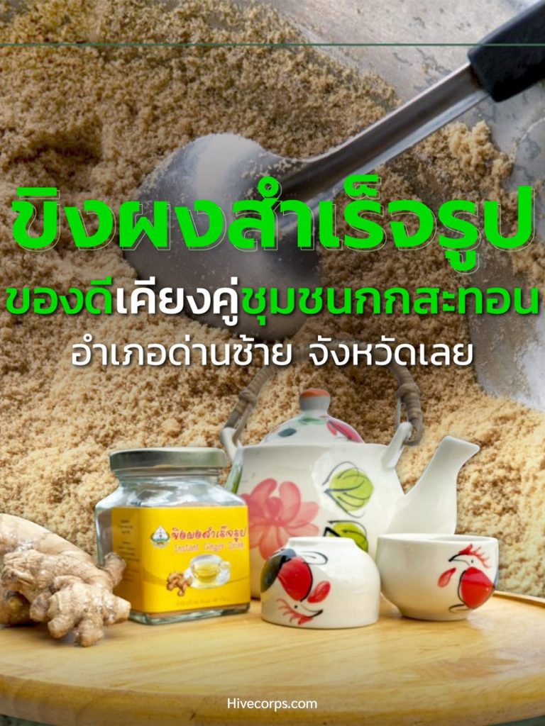 ขิงผงสำเร็จรูป ของดีเคียงคู่ชุมชนกกสะทอน อำเภอด่านซ้าย จังหวัดเลย ขิงผงสำเร็จรูป อำเภอด่านซ้าย จังหวัดเลย