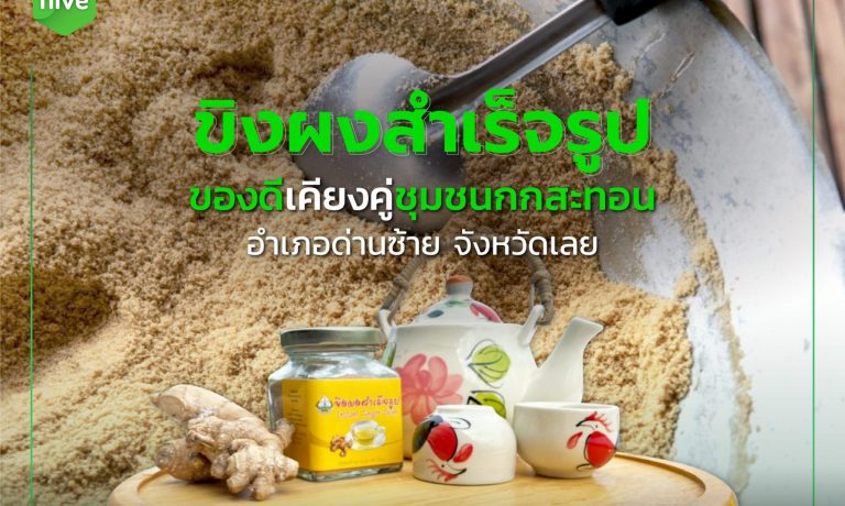 ขิงผงสำเร็จรูป อำเภอด่านซ้าย จังหวัดเลย