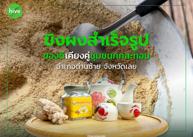 ขิงผงสำเร็จรูป อำเภอด่านซ้าย จังหวัดเลย