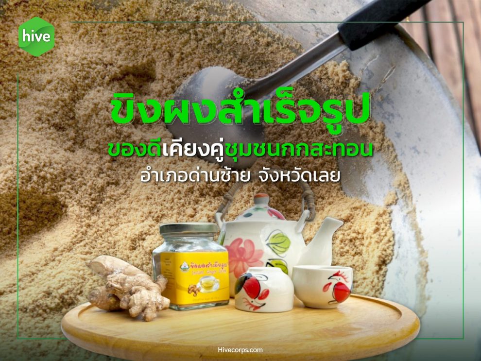 ขิงผงสำเร็จรูป ของดีเคียงคู่ชุมชนกกสะทอน อำเภอด่านซ้าย จังหวัดเลย ขิงผงสำเร็จรูป อำเภอด่านซ้าย จังหวัดเลย