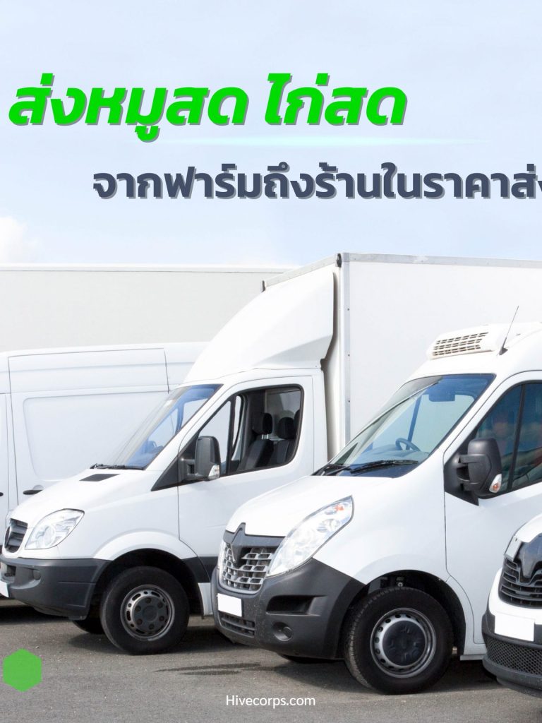 บริการส่งของสดจากฟาร์ม หมูสด ไก่สด ถึงร้านอาหารในราคาส่ง บริการขนส่ง หมูสด ไก่สด