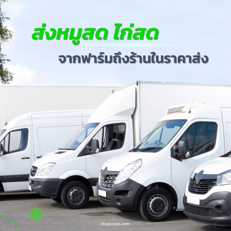 บริการขนส่ง หมูสด ไก่สด