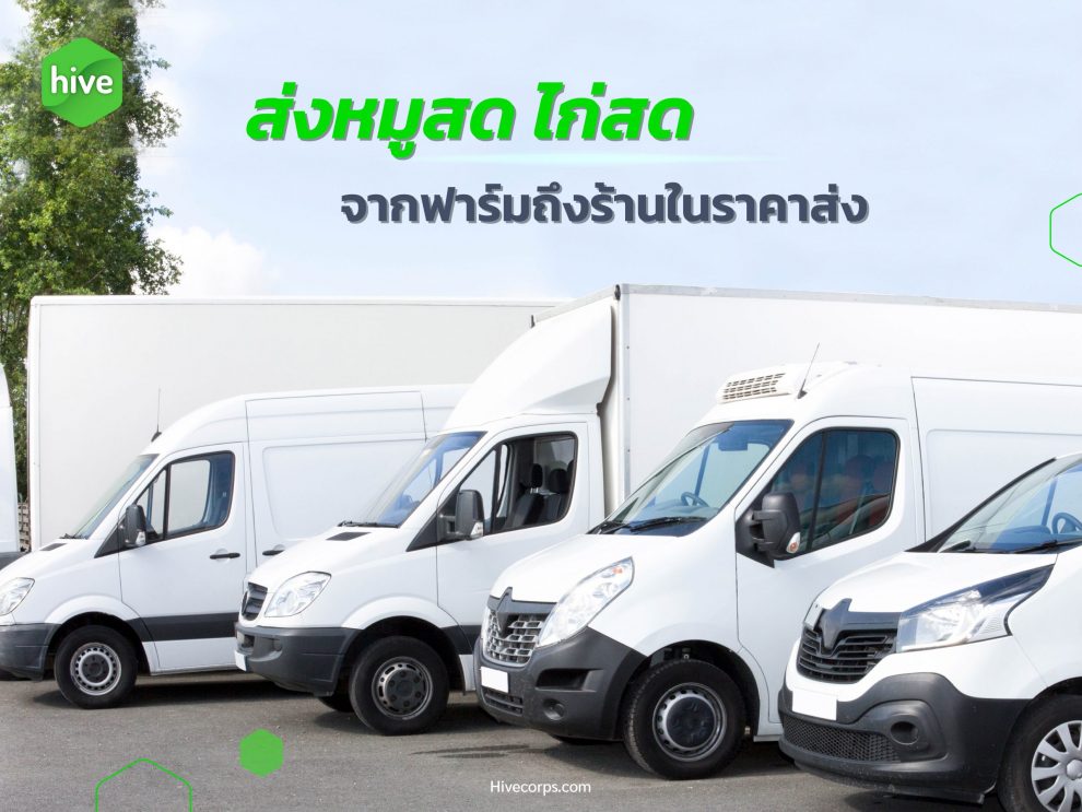 บริการส่งของสดจากฟาร์ม หมูสด ไก่สด ถึงร้านอาหารในราคาส่ง บริการขนส่ง หมูสด ไก่สด