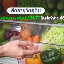 ยืดอายุวัตถุดิบ ผักสด สไตล์ HIVE ใครก็ทำตามได้