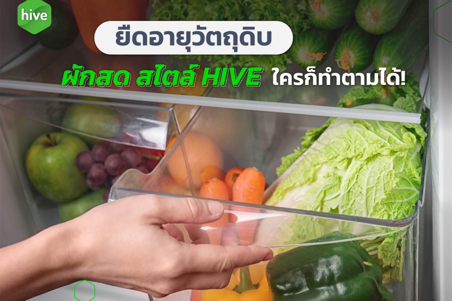 ยืดอายุวัตถุดิบ ผักสด สไตล์ HIVE ใครก็ทำตามได้ ยืดอายุวัตถุดิบ ผักสด สไตล์ HIVE ใครก็ทำตามได้