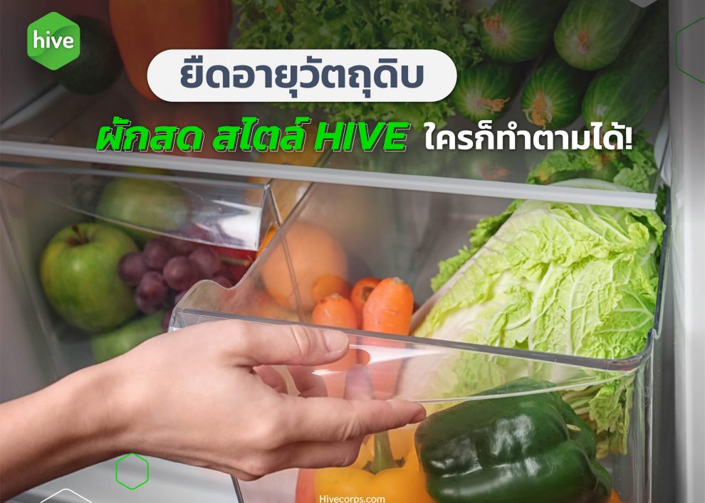 ยืดอายุวัตถุดิบ ผักสด สไตล์ HIVE ใครก็ทำตามได้