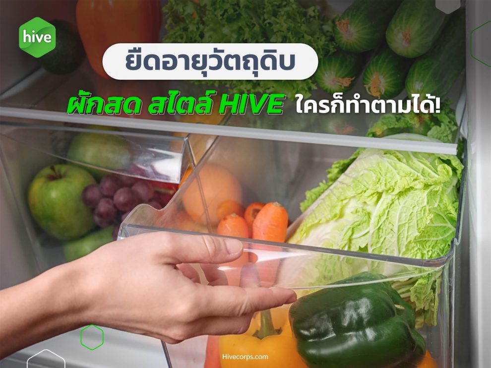 ยืดอายุวัตถุดิบ ผักสด สไตล์ HIVE ใครก็ทำตามได้